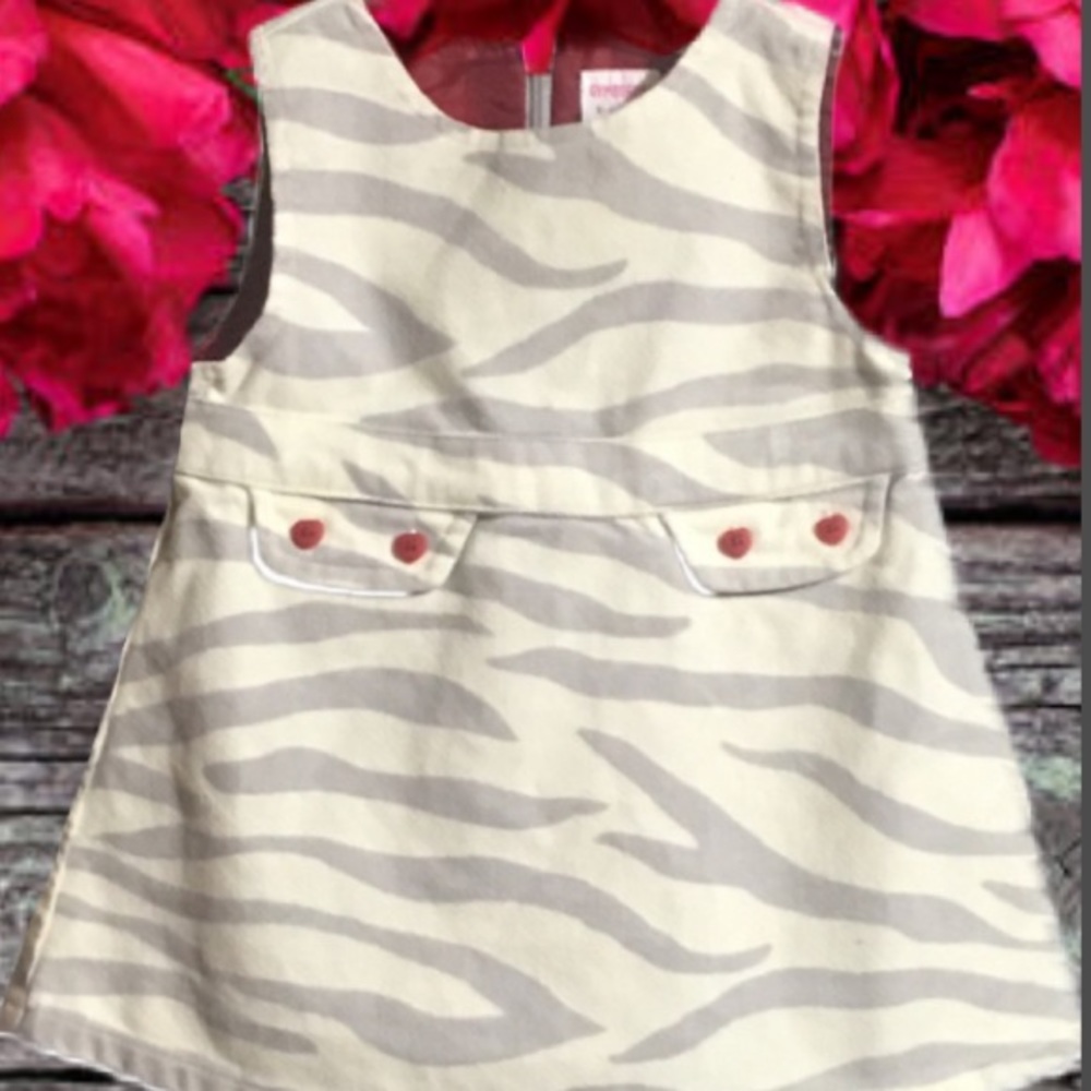 Gymboree Tiger Love Gray Stripe Girls Vintage Jumper Dress 3-6 month
